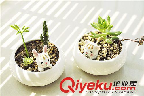 37度 創(chuàng)意zakka日韓雜貨 萌系動(dòng)物小貓款陶瓷花盆原始圖片2