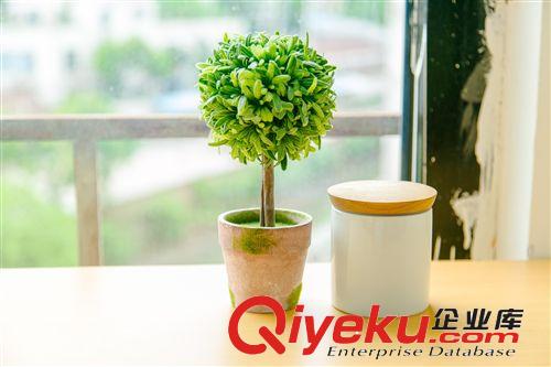 37度 zakka 做舊陶盆草球小盆栽新款 仿真植物小花盆套裝批發原始圖片2