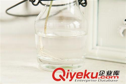 創意zakka 壺形鐵線吊掛玻璃水培 桌面花器 家居裝飾擺件原始圖片2