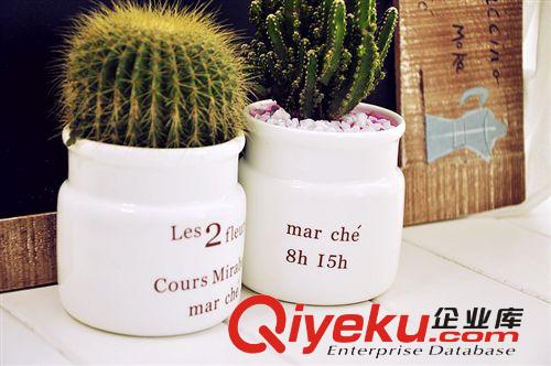 37度 白色陶瓷廣口法文花盆 多肉植物花器 肉肉花盆原始圖片2