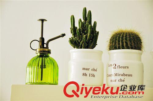 37度 白色陶瓷廣口法文花盆 多肉植物花器 肉肉花盆原始圖片3