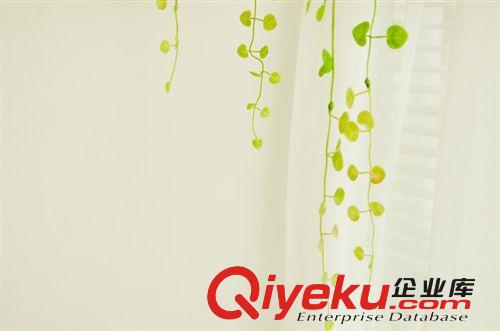 gf真綠葉藤/塑膠花綠色植物/家居裝飾/拍攝道具背景原始圖片2