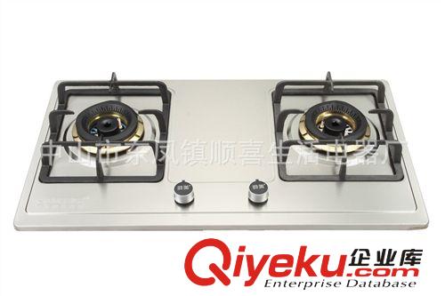 供應(yīng)燃氣爐灶 角鋼灶 雙眼爐灶SX500-2原始圖片2