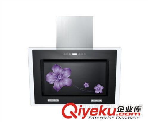 廠家直銷批發 廣州櫻花  新飛 OEM機械款抽油煙機配不銹鋼圍板原始圖片2