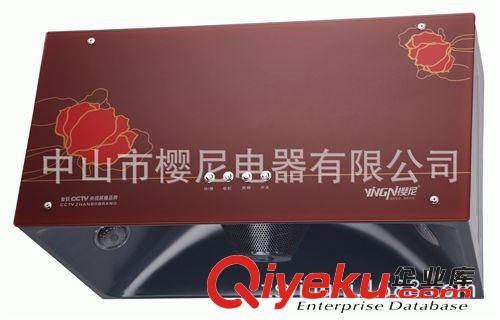 【直銷】精品中式抽油煙機 櫻尼電器 Y02 gd大氣歐式抽油煙機原始圖片2