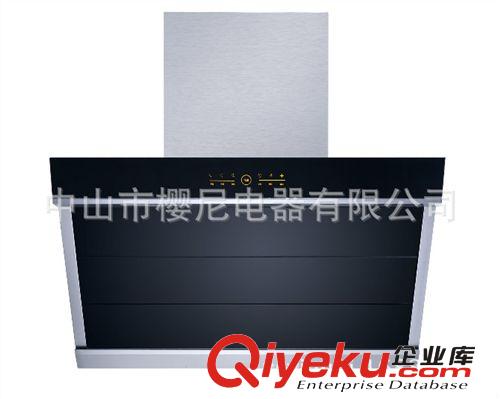 【直銷】精品中式抽油煙機 櫻尼電器 Y02 gd大氣歐式抽油煙機原始圖片3