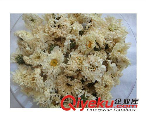 云南特產(chǎn) 玉翔  50g盒裝貢菊花茶  tj批發(fā)