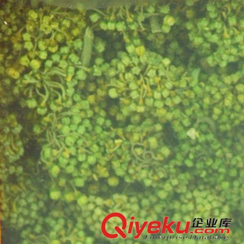 云南特產(chǎn) 玉翔 60克三七花茶 tj批發(fā)原始圖片2