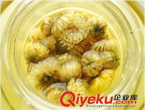 云南特產(chǎn) 玉翔 60g盒裝胎菊花茶  tj批發(fā) 歡迎選購