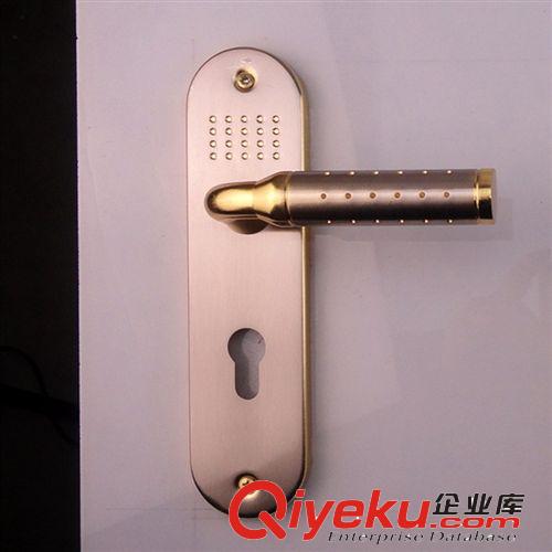 雙力【鐵執(zhí)手門鎖廠家】質優(yōu)價低 款式眾多 外貿鐵門鎖原始圖片3