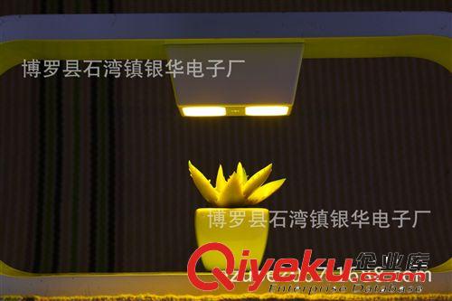 zp直銷 新款創意雙發光人體感應LED小夜燈 床頭燈 光控衣柜燈原始圖片2