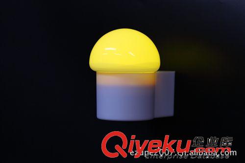 創意小夜燈 禮品燈 圣誕節情人節爛漫禮物時尚美觀小夜燈 LED夜燈原始圖片3