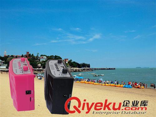 誠盛小蜜蜂擴音器,教師擴音機,導(dǎo)游擴音機,老人運動播音機