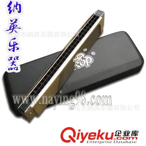 口琴批發(fā)供應(yīng) 精裝 EASTTOP 東方之最 口琴 24孔C調(diào)（金色/銀色）原始圖片3