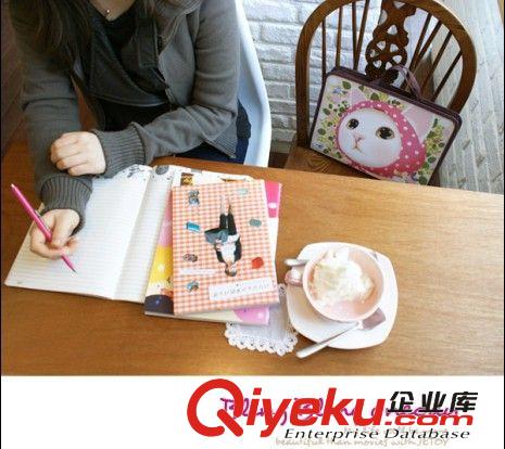 YOT-1001甜美蕾絲文件包|文件夾Lace zip up file可愛(ài)貓 韓國(guó)文具原始圖片3