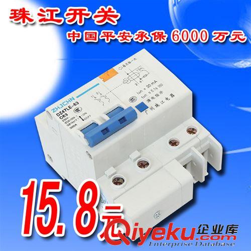 珠江開關 DZ47LE-63/2P 漏電斷路器 漏電開關 zptj