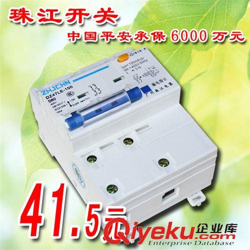 珠江開關(guān) DZ47LE-100/2P 漏電斷路器 漏電開關(guān) zptj