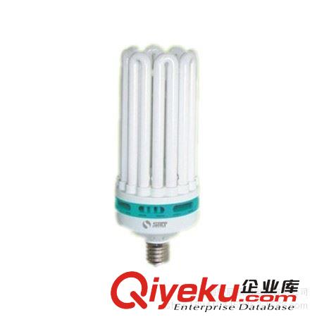 供應 批發上海綠源 2U 11W 冷/暖光工程專用三基色電子節能燈批發