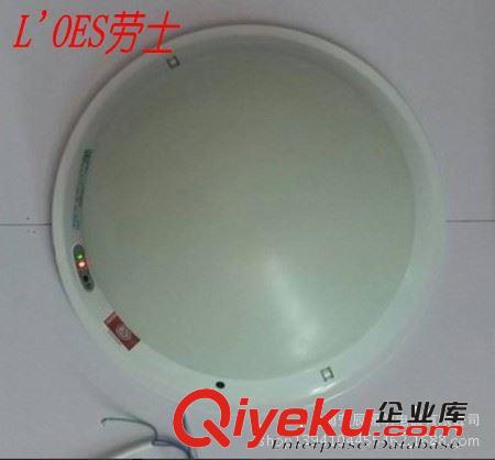 供應 勞士新國標5-14w節能燈分體應急電源應急電源L-ZLZD-E5W 568