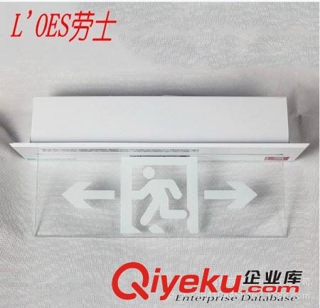 供應(yīng) 勞士 新國標LED應(yīng)急吸頂燈 消防應(yīng)急照明燈L-ZFZD-E5W 543