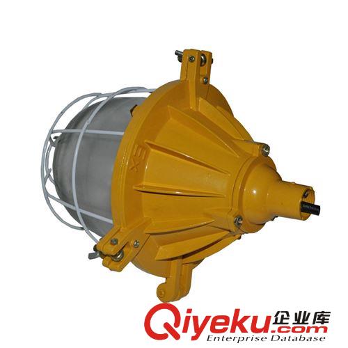 海洋王BYC6170防爆平臺燈價格 防爆燈價格原始圖片2