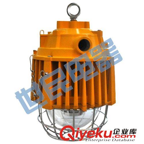 DGS45/127L(P)礦用氣體放電燈 45W礦用巷道燈原始圖片3