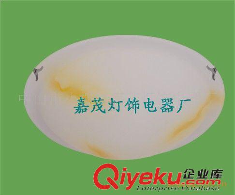 廠家專業(yè)生產(chǎn)出口歐洲--300MM離心機壓玻璃吸頂燈