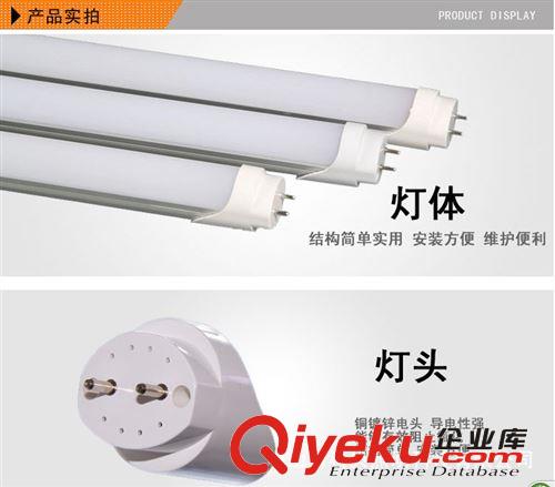 廠家熱銷T8LED燈分體 科貝1.2米LED日光燈長壽命省電