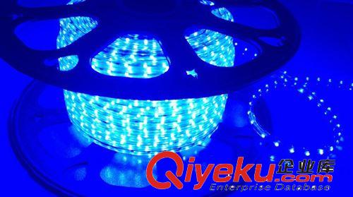 LED5050燈帶單晶貼片220v七彩燈帶廠家批發(fā)12W