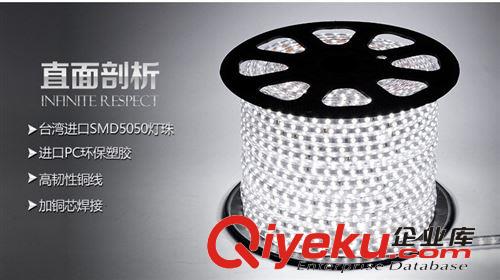 LED5050燈帶單晶貼片220v七彩燈帶廠家批發12W原始圖片3