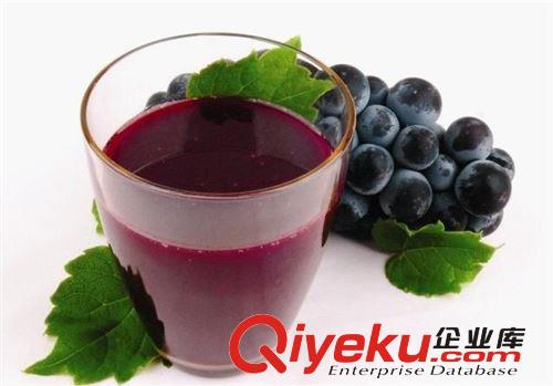 太康水果榨汁機 攪拌式榨汁機 榨汁機噴淋式榨汁機 批發Vm