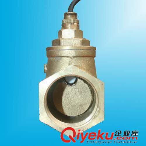 水流量開關 水流量傳感器 流量計