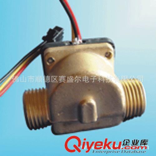 供水控機(jī)學(xué)校一卡通流量傳感器 電采曖流量開關(guān) 4分銅水流傳感器