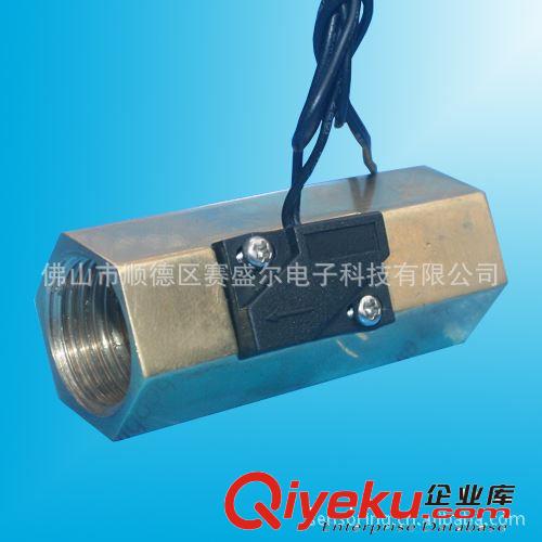 熱水器銅鑄水流開關/2分管徑黃銅水流量開關/控水機水流開關原始圖片2