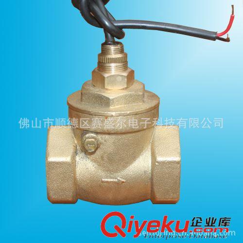 銅鑄水流開關(guān)/防干燒流量開關(guān)/斷水保護活塞式水流量開關(guān)供應(yīng)商原始圖片2