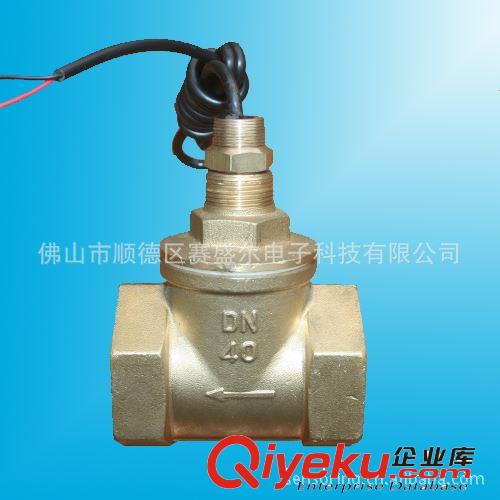 銅鑄水流開關(guān)/防干燒流量開關(guān)/斷水保護活塞式水流量開關(guān)供應(yīng)商原始圖片3