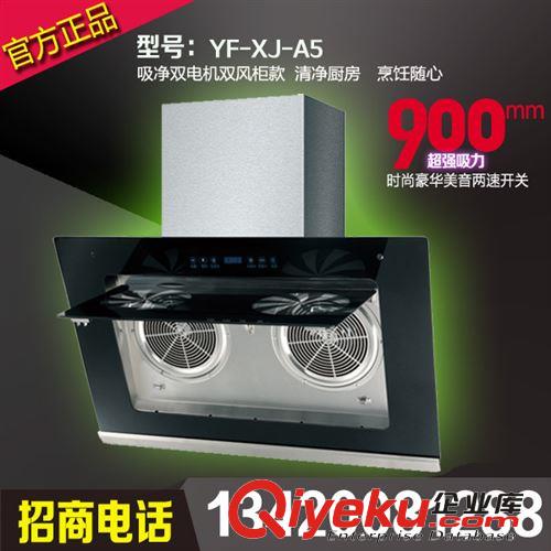 家用吸油煙機 自動清洗吸油煙機 批發吸油煙機YF-XJ-A5