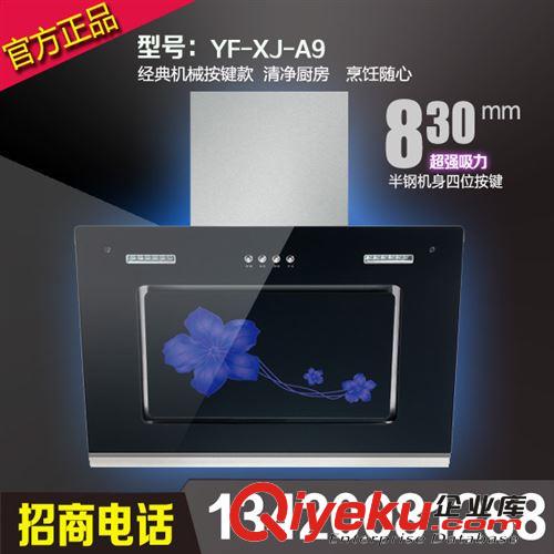 家用吸油煙機 自動清洗吸油煙機 批發吸油煙機YF-XJ-A5