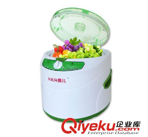 廠家直銷洗菜機 蔬菜xd清洗機 去農藥