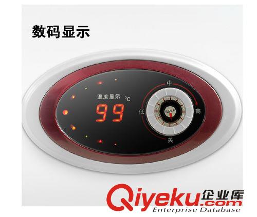 中山批發供應 電熱水器 儲水式數碼顯示
