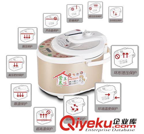 廠家直銷 專業生產電壓力鍋 智能電壓力鍋XHY-108-2安全實用