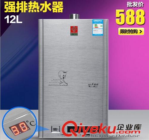燃氣熱水器 強排式天然氣熱水器 液化氣煤氣熱水器12升