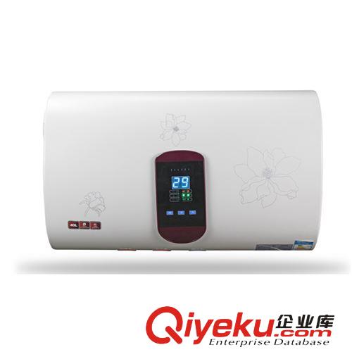 中山廠家直銷熱水器 電熱水器 儲水式智能遙控電熱水器 JB02