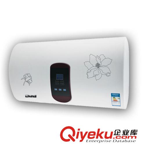 中山廠家直銷熱水器 電熱水器 儲水式智能遙控電熱水器 JB02原始圖片2