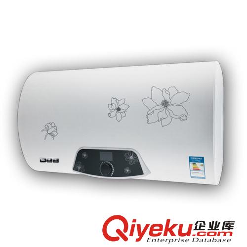 zp批發 熱水器 電熱水器 儲水式超薄數顯電熱水器 熱水器JB04