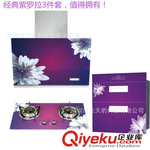 廠家直供櫻花煙灶套餐新款智能開合抽油煙機嵌入式燃氣灶