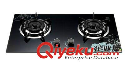 廠家直銷然氣灶燃氣灶 嵌入式液化氣雙灶臺式煤氣爐灶具