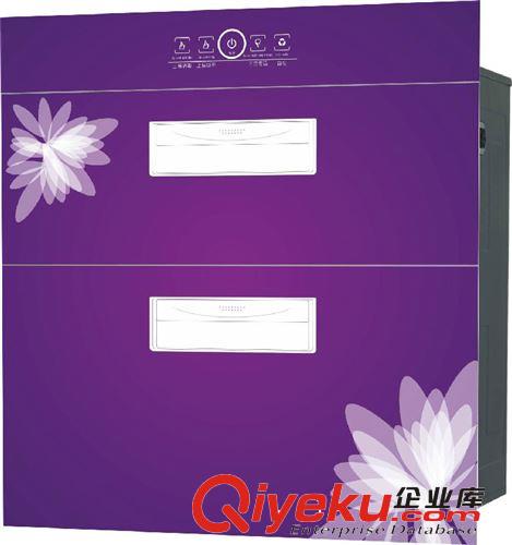 廠家直供OEM電熱水器