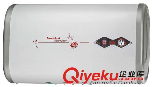 廠家直供可OEM電熱水器