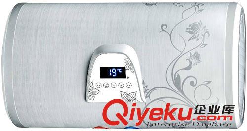 廠家直供電熱水器 OEM